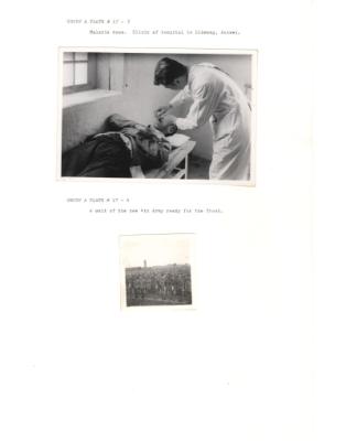 122477-Thumbnail Image.jpg