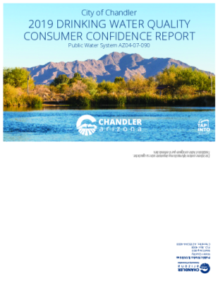 123479-Thumbnail Image.png