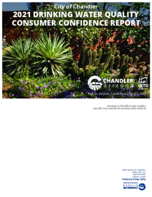 123481-Thumbnail Image.png