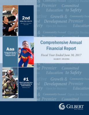 44133-Thumbnail Image.png