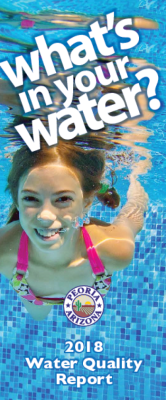 123675-Thumbnail Image.png