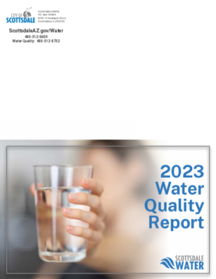 123836-Thumbnail Image.png