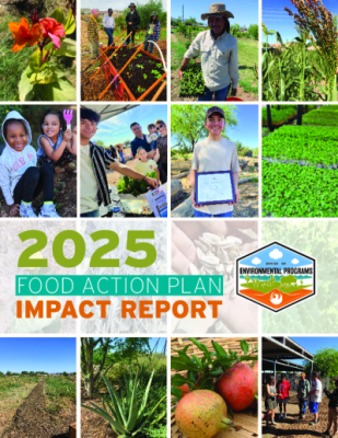 124050-Thumbnail Image.png