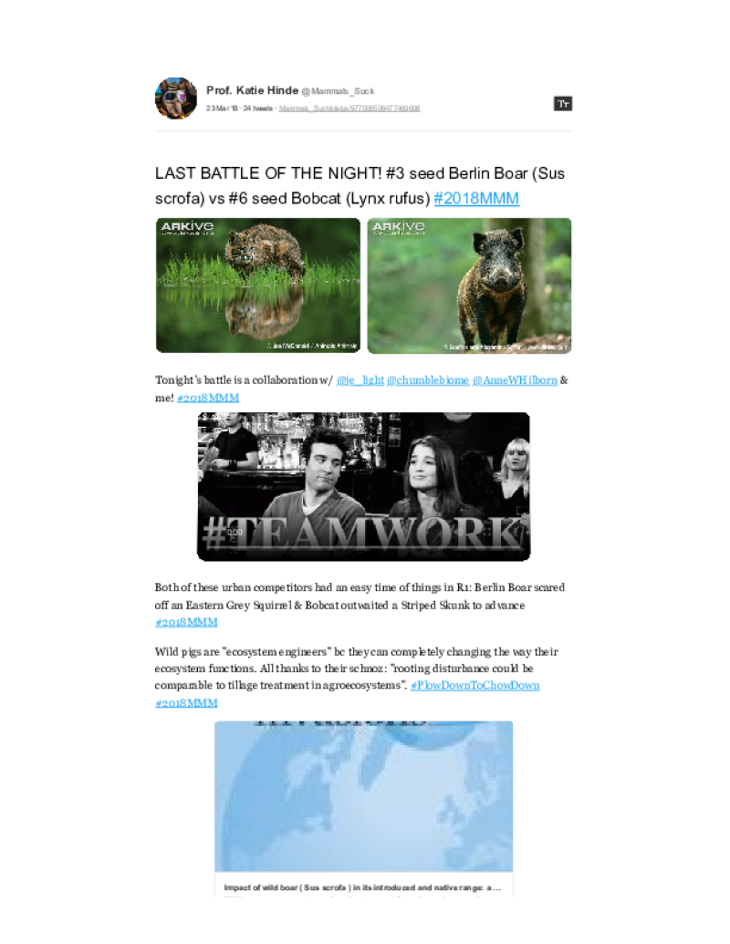 275-Thumbnail Image.png