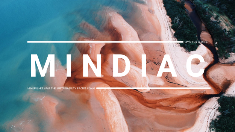 126786-Thumbnail Image.png
