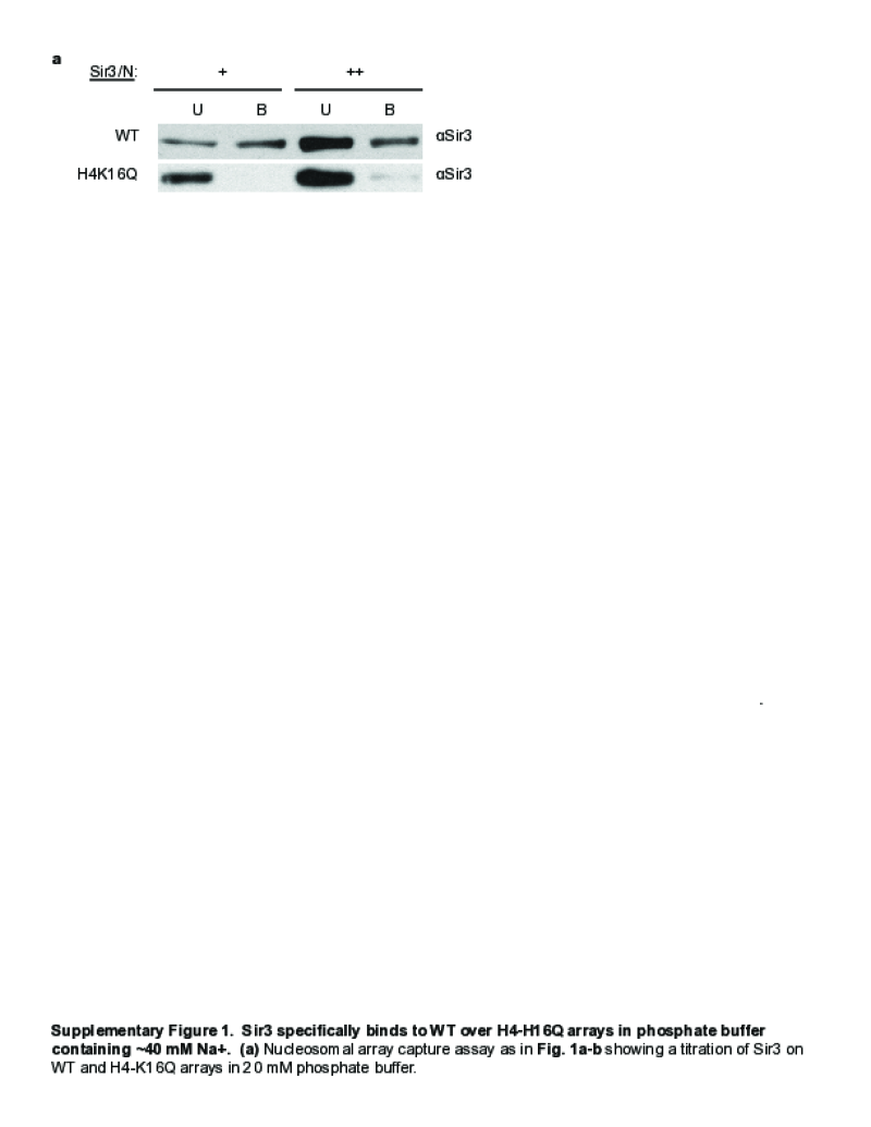130459-Thumbnail Image.png