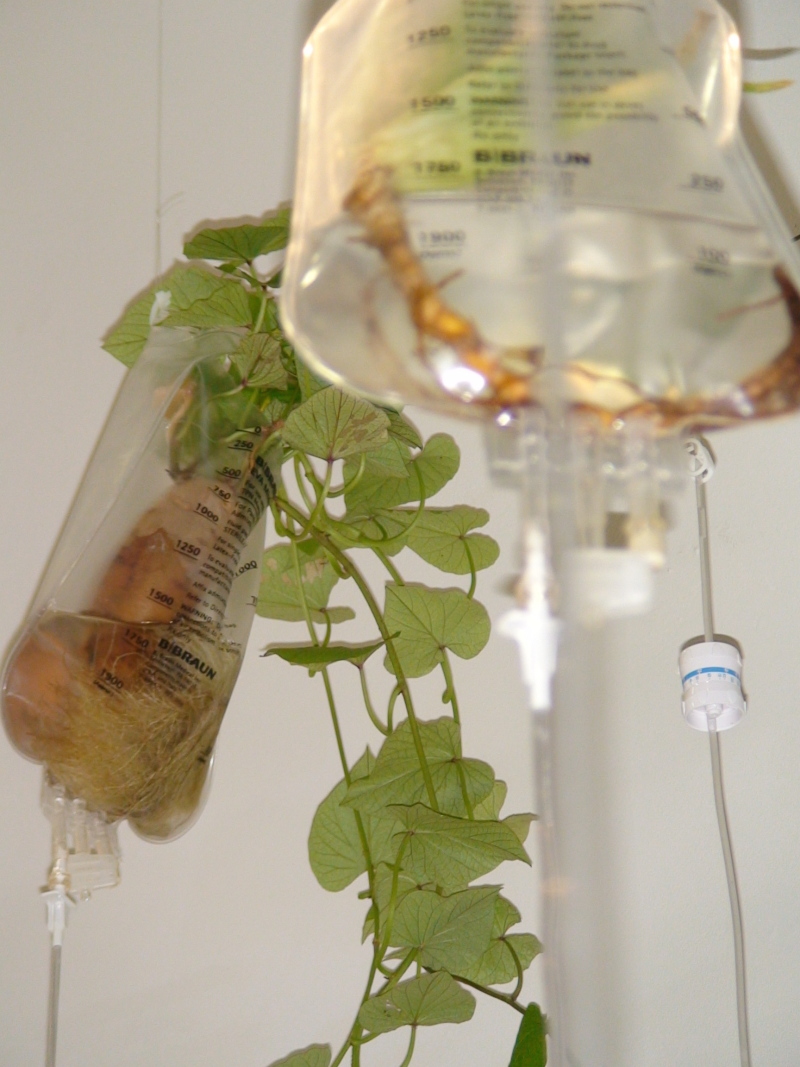 130760-Thumbnail Image.jpg