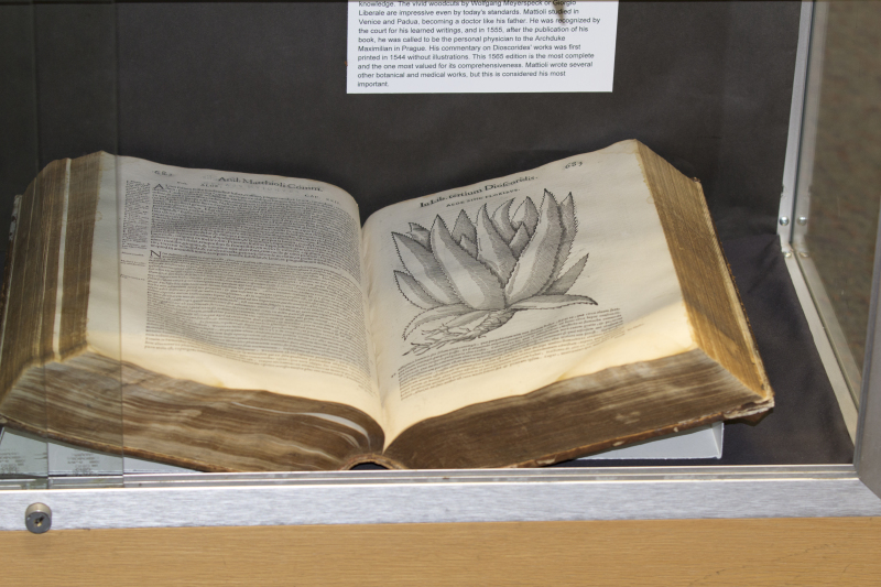 141171-Thumbnail Image.jpg
