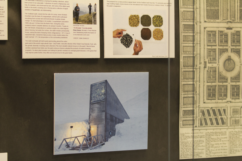 141174-Thumbnail Image.jpg