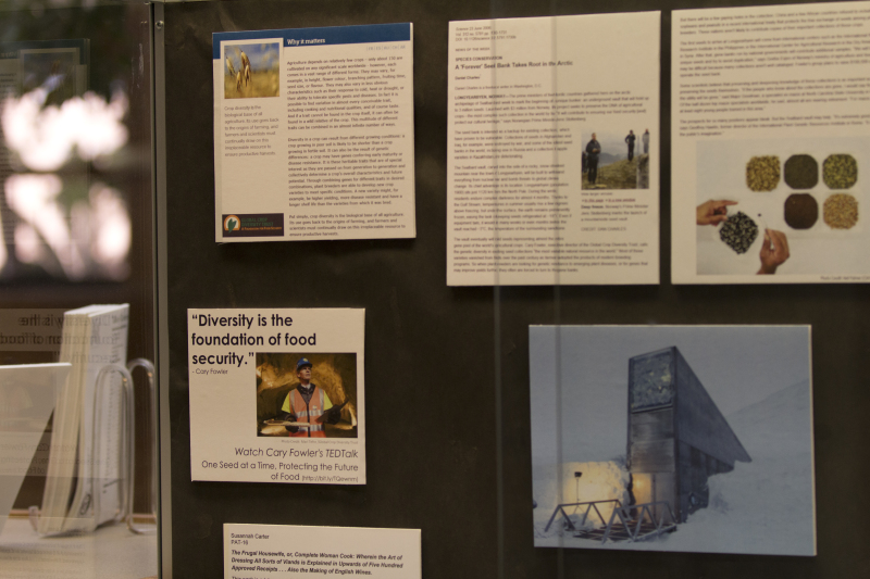 141175-Thumbnail Image.jpg
