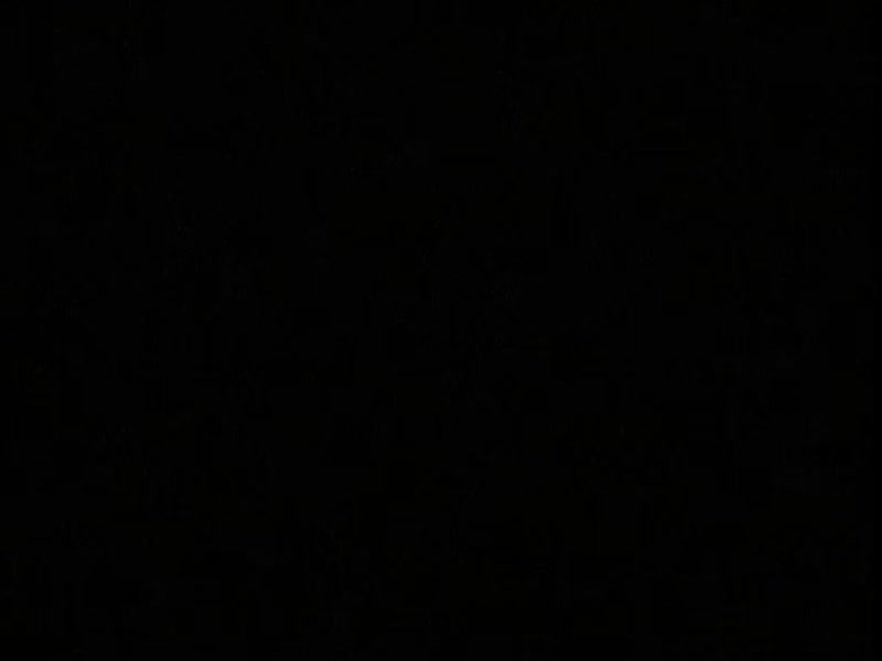 127455-Thumbnail Image.jpg