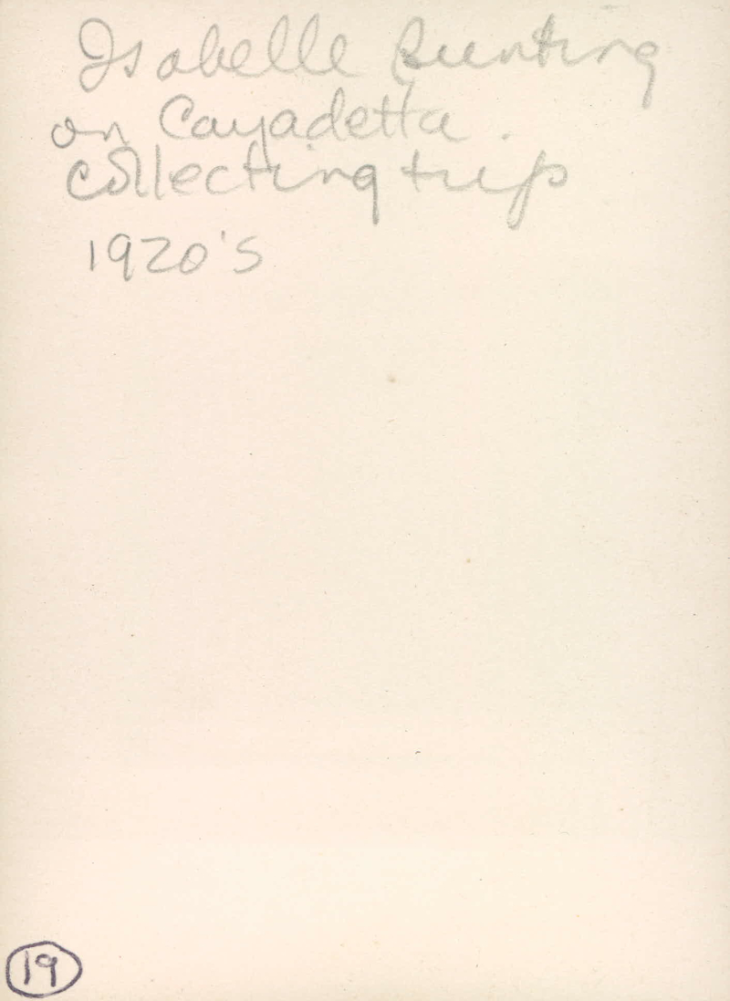 178954-Thumbnail Image.jpg