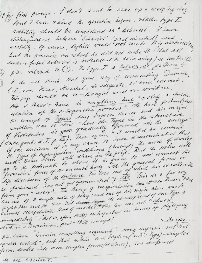 178966-Thumbnail Image.jpg