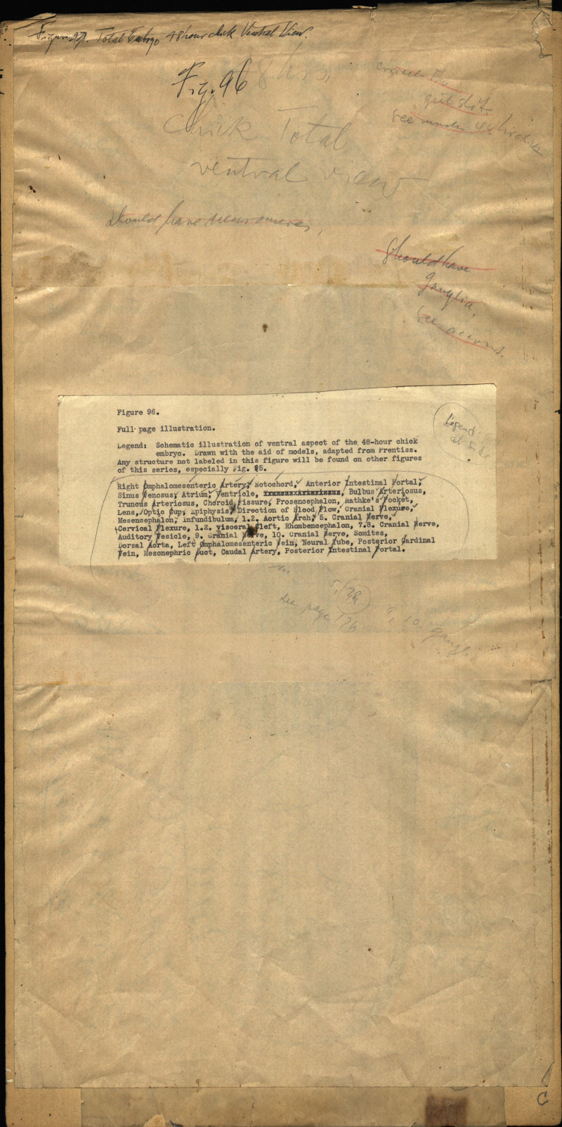 180796-Thumbnail Image.jpg
