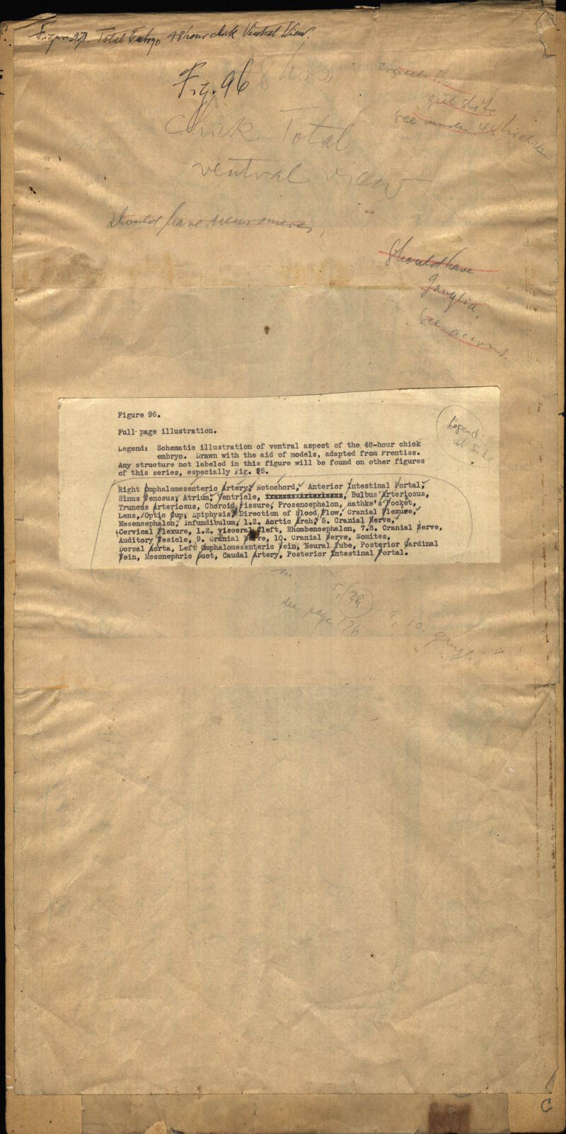 180797-Thumbnail Image.jpg