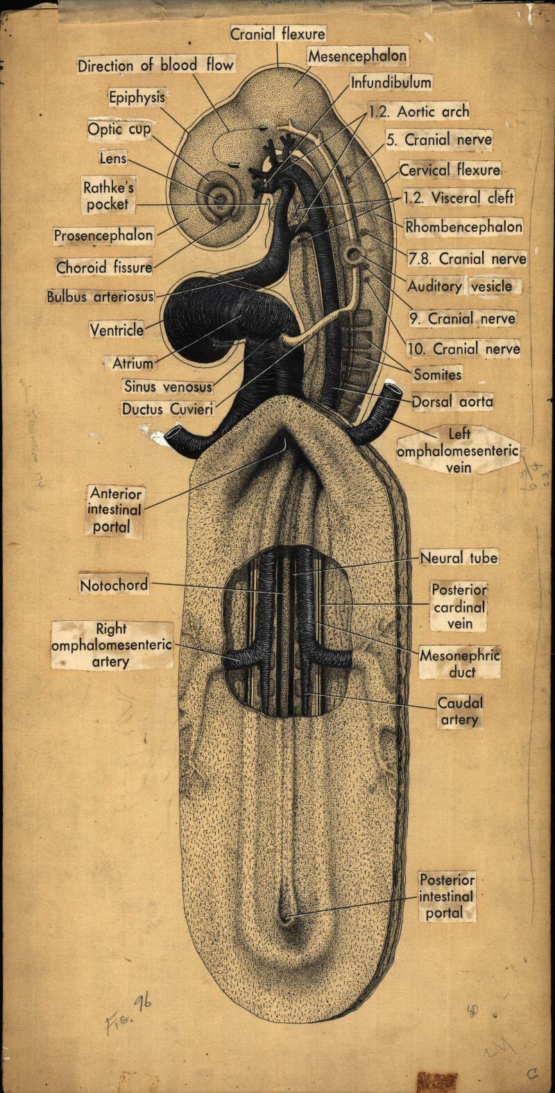180799-Thumbnail Image.jpg