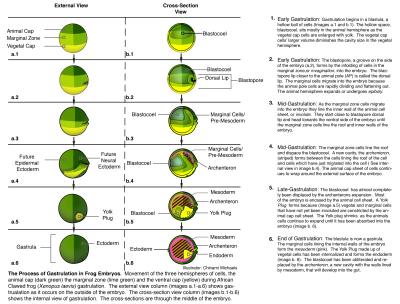 175186-Thumbnail Image.jpg