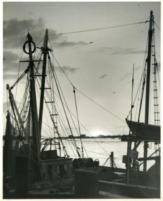 175382-Thumbnail Image.jpg