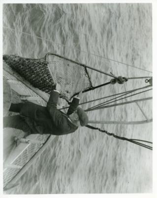 175388-Thumbnail Image.jpg