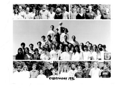 175690-Thumbnail Image.jpg