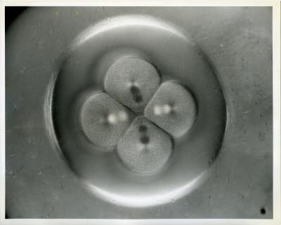 180958-Thumbnail Image.jpg
