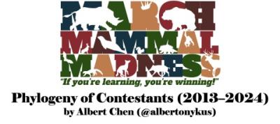 Phylogeny of March Mammal Madness Contestants: 2013-2024
