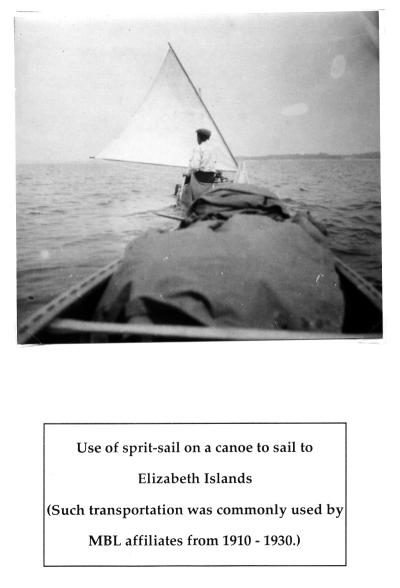 173963-Thumbnail Image.jpg